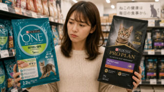 ピュリナワンとプロプランの違いを比較|猫に合った選び方を解説