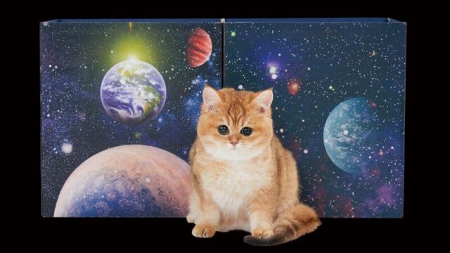 ペピイと月刊ムーがコラボ｜時空の概念を超えたオカルト猫グッズ