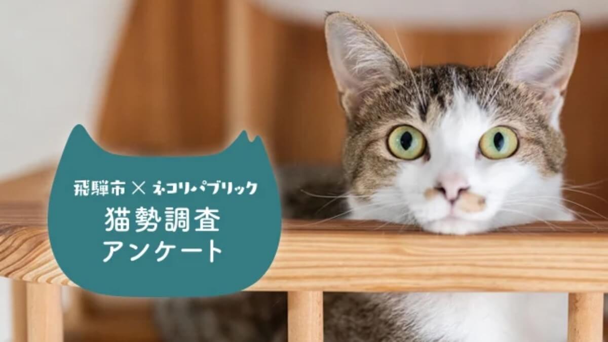 日本初の猫勢調査を岐阜県飛騨市で実施｜猫と共存できる社会を目指す