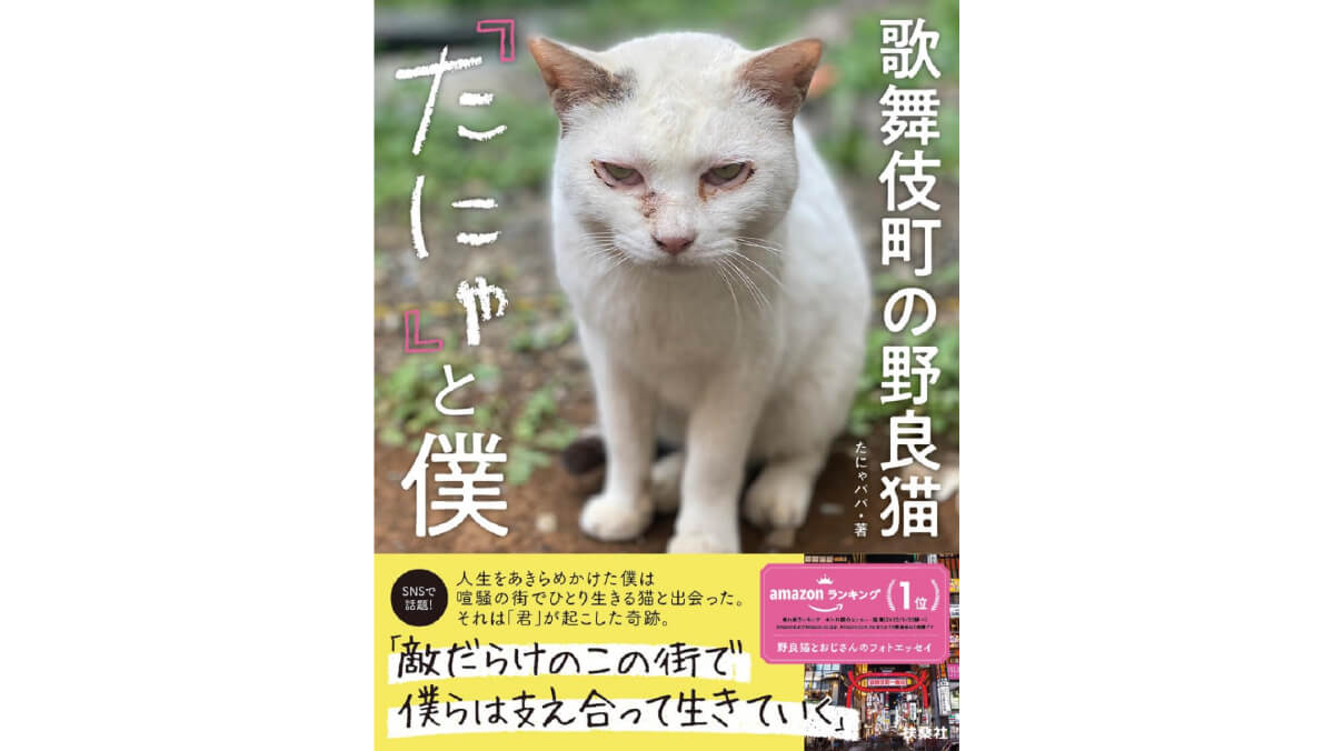 トー横キャッツ？歌舞伎町の野良猫「たにゃ」とおじさんのフォトエッセイ
