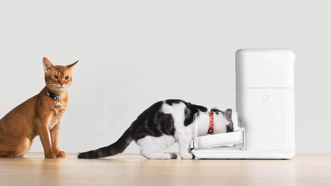優しさを追求した猫用自動給餌器「CATLINK FRESH2」新発売