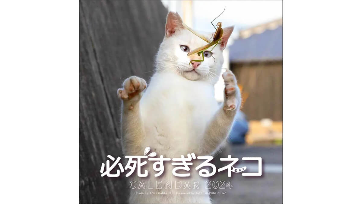 必死すぎるネコの2024年カレンダー発売｜表紙はカマキリと格闘する猫