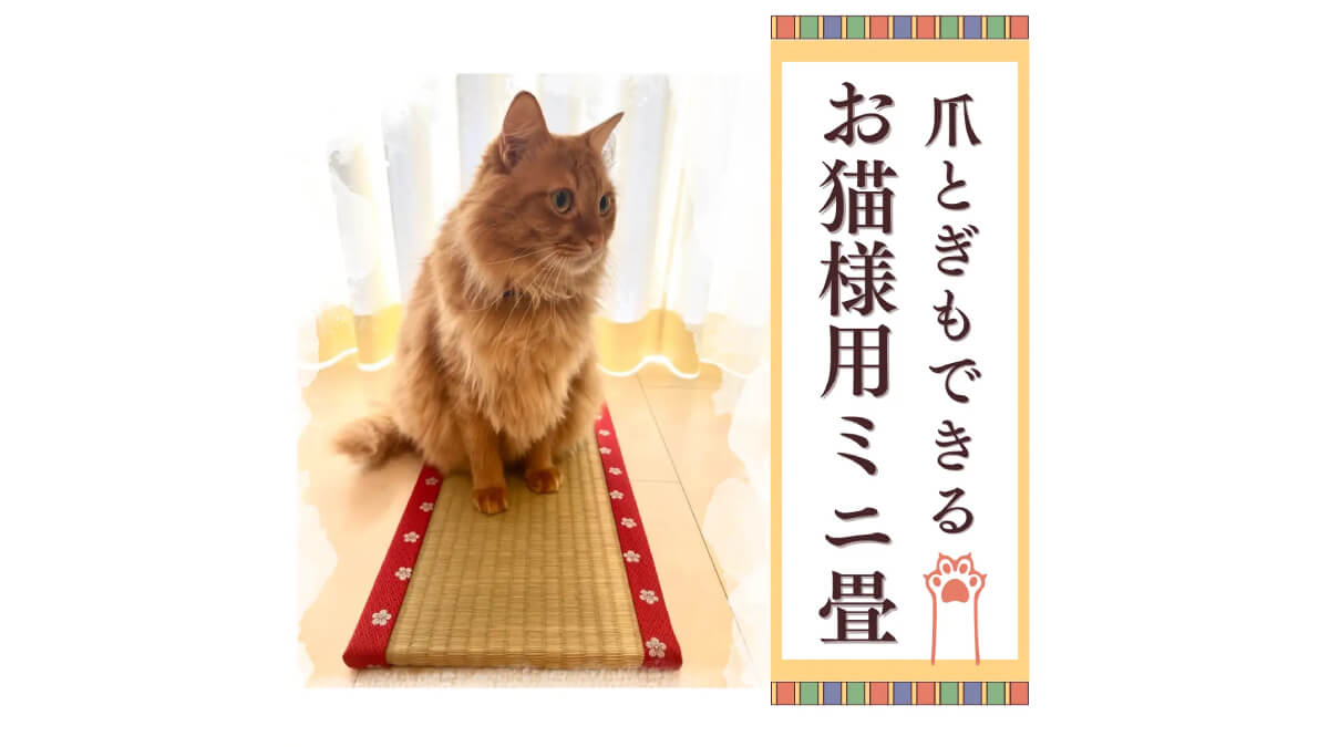 貴香、猫用ミニ畳の予約販売を開始｜熊本県産い草100%使用