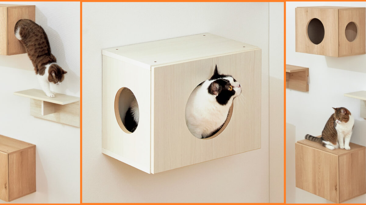 ディノス、猫好きが考案したステップと壁面収納の両立を叶える家具を発売