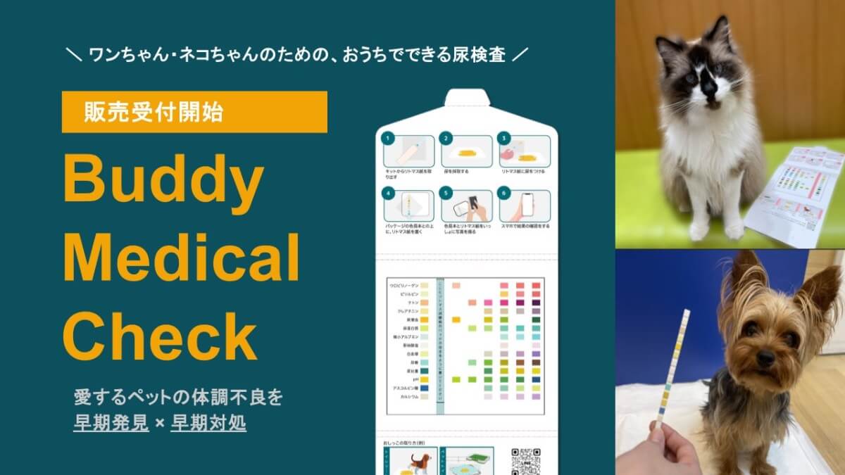 犬猫の健康管理ができる尿検査キット「Buddy Medical Check」発売