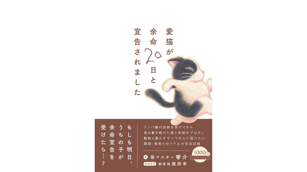 最期の日々を描く闘病記録「愛猫が余命20日と宣告されました」発売