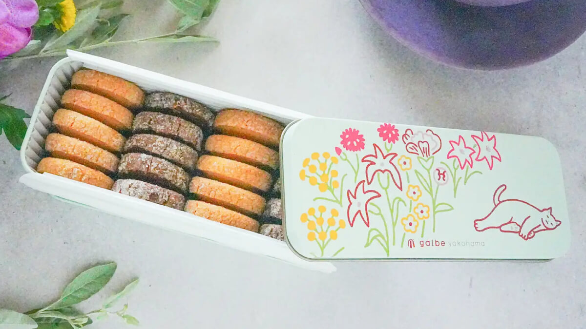 galbe yokohama「猫のうたたねクッキー缶」発売!売上の一部は寄付
