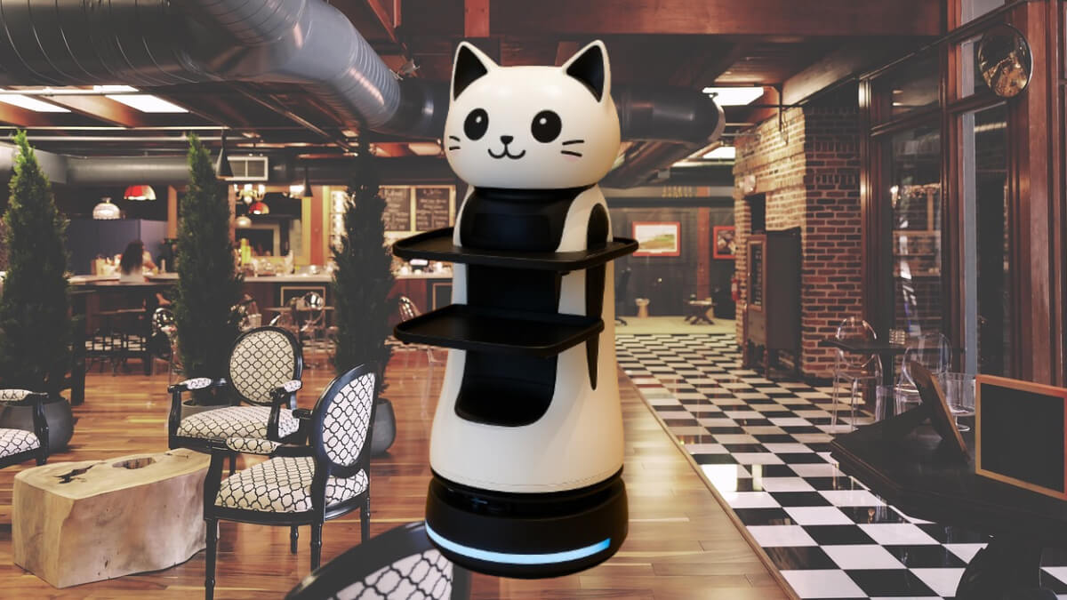 驚きと癒しを一度に！猫型配膳ロボットがもたらす未来のサービス体験