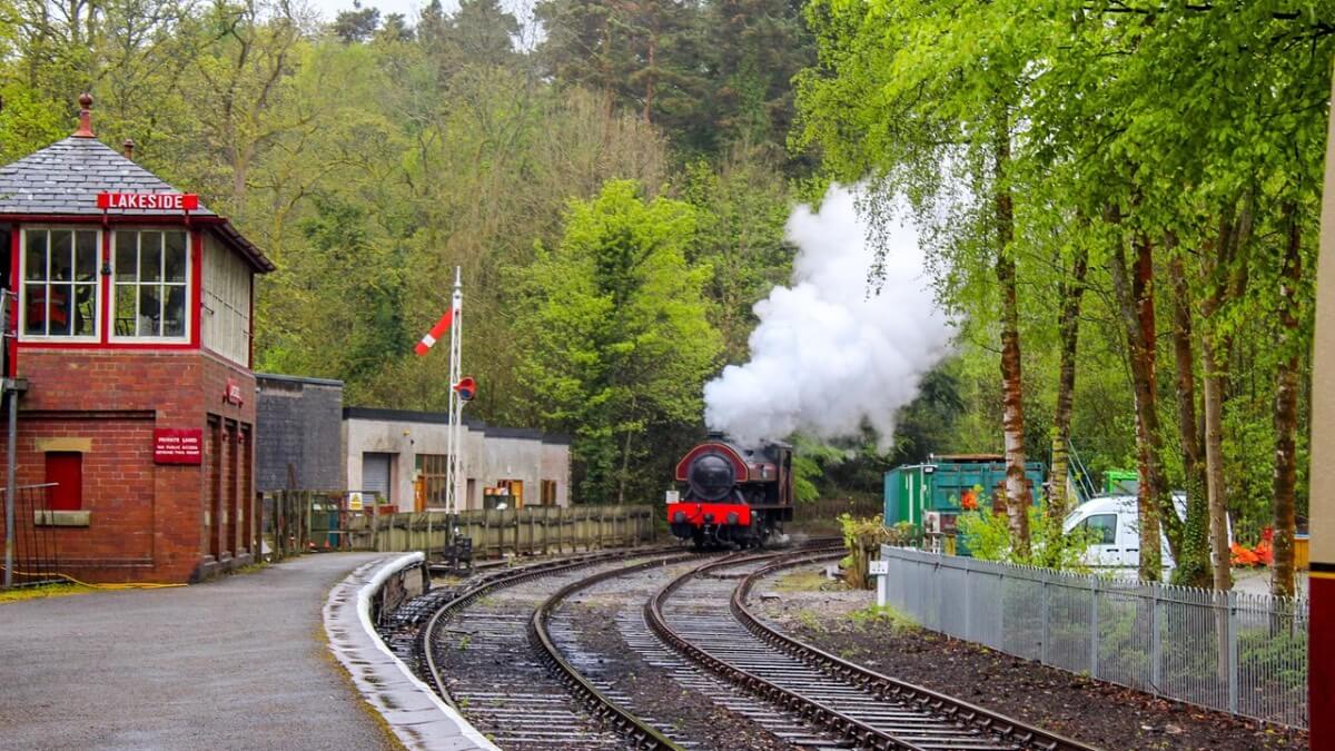 15歳の猫が80kmの小旅行、列車に乗り込みマンチェスター空港へ