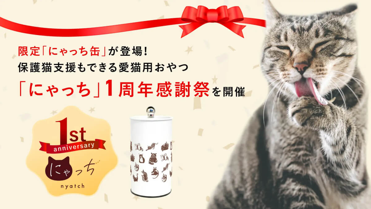 にゃっち1周年感謝祭、保護猫支援もできる猫用おやつ缶が登場