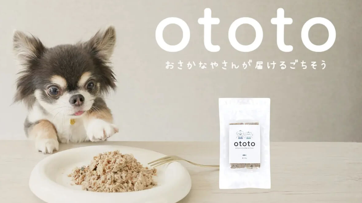 高知の魚屋二代目が挑む、カツオ一本勝負の犬猫用ごはん「ototo」