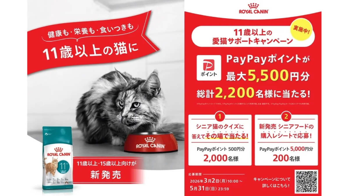 ロイヤルカナンがシニア猫サポートキャンペーン実施、PayPayポイント当たる