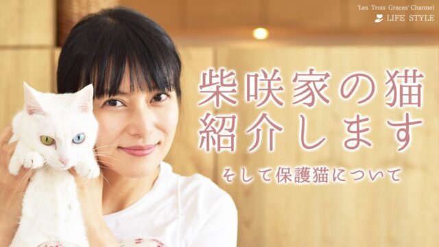 柴咲コウさんの愛猫は何匹？種類は？ルナやオッドアイについても