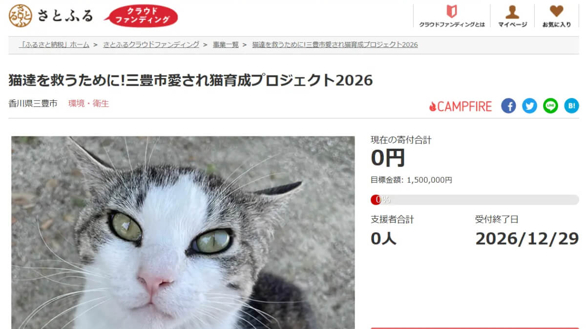 香川県三豊市、地域猫活動継続へ寄付募集開始　さとふるクラファンで目標は150万円