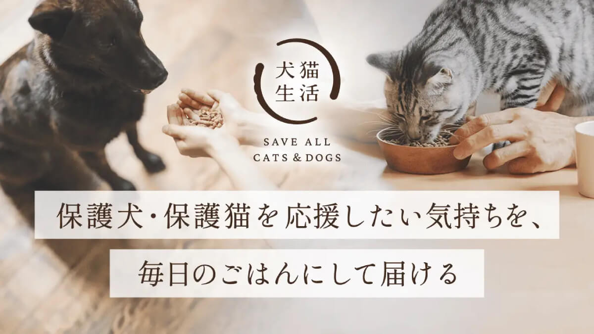 保護犬・保護猫への食支援を身近に、犬猫生活がごはんサポーター制度を開始
